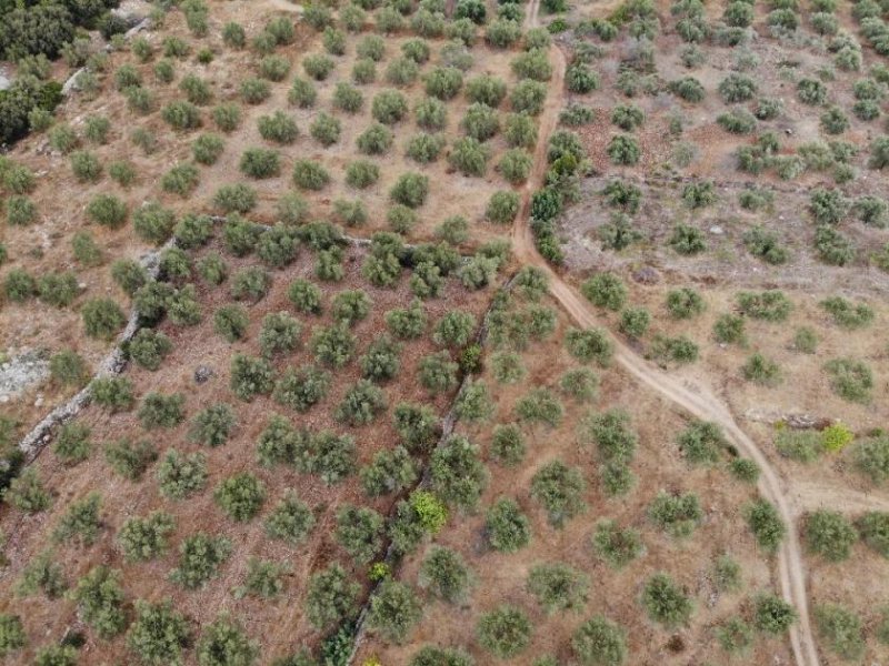 Agios Vasilis Kreta, Agios Vasilis: Erstklassiges Baugrundstück zum Verkauf mit Meer- und Bergblick Grundstück kaufen